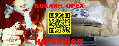 шишки Изобильный