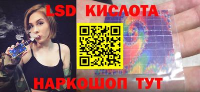 шишки Изобильный