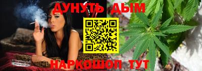 шишки Изобильный