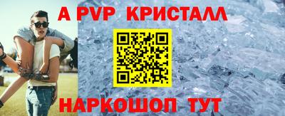 шишки Изобильный