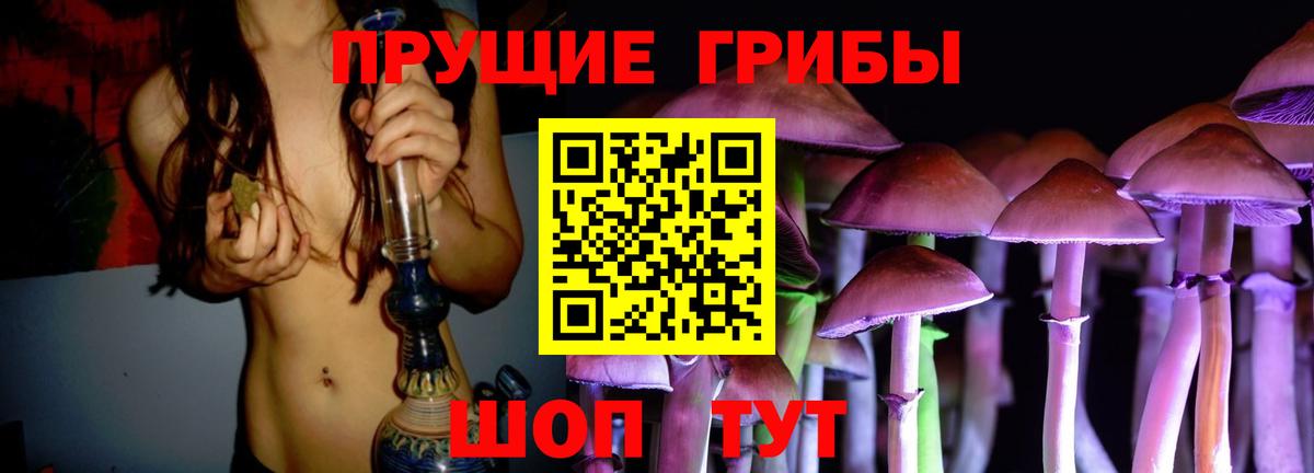 Биробиджан  где можно купить наркотик  Вход с VPN  Псилоцибиновые грибы ЛСД 